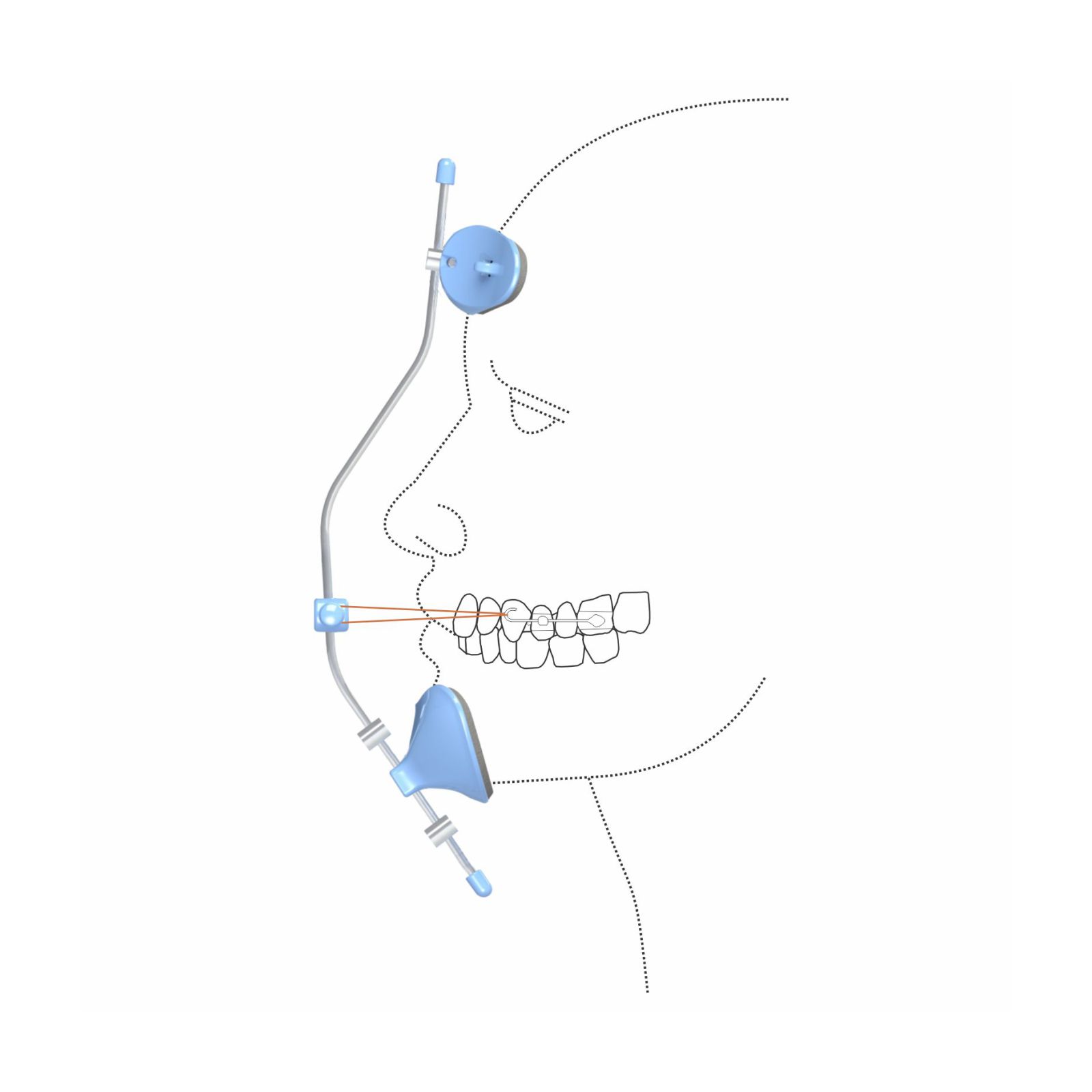 Máscara facial de Petit